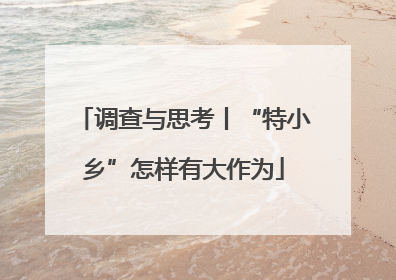 调查与思考丨“特小乡”怎样有大作为
