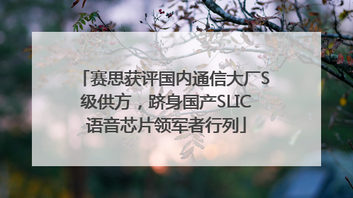 赛思获评国内通信大厂S级供方，跻身国产SLIC语音芯片领军者行列