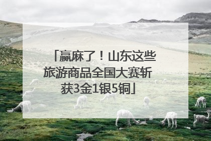 赢麻了！山东这些旅游商品全国大赛斩获3金1银5铜