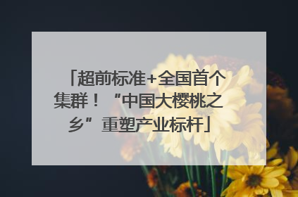 超前标准+全国首个集群！“中国大樱桃之乡”重塑产业标杆