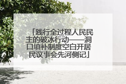 践行全过程人民民主的破冰行动——洞口填补制度空白开居民议事会先河侧记