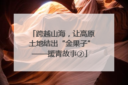 跨越山海，让高原土地结出“金果子”——援青故事②