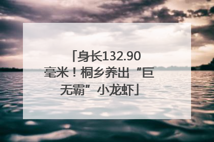 身长132.90毫米！桐乡养出“巨无霸”小龙虾