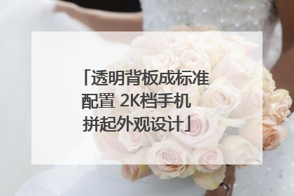 透明背板成标准配置 2K档手机拼起外观设计