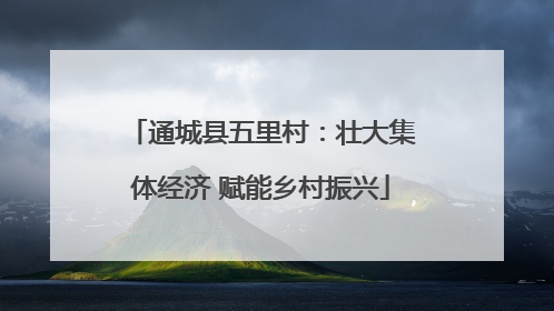 通城县五里村：壮大集体经济 赋能乡村振兴