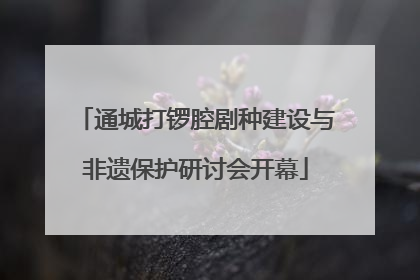 通城打锣腔剧种建设与非遗保护研讨会开幕