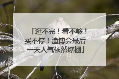 逛不完！看不够！买不停！渔博会最后一天人气依然爆棚