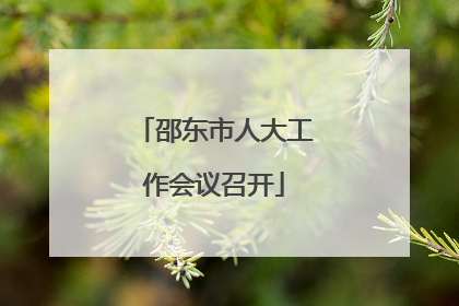 邵东市人大工作会议召开