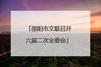 邵阳市文联召开六届二次全委会