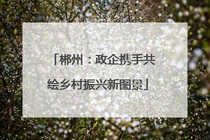 郴州：政企携手共绘乡村振兴新图景