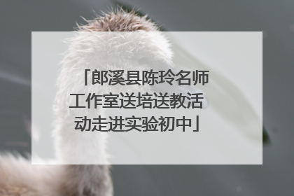 郎溪县陈玲名师工作室送培送教活动走进实验初中