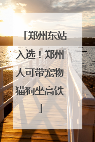 郑州东站入选！郑州人可带宠物猫狗坐高铁