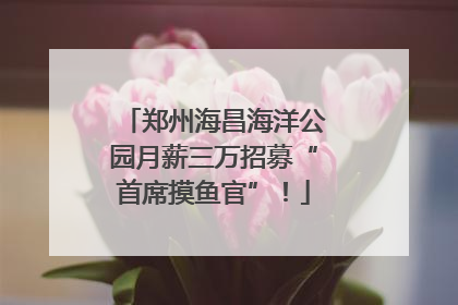 郑州海昌海洋公园月薪三万招募“首席摸鱼官”！