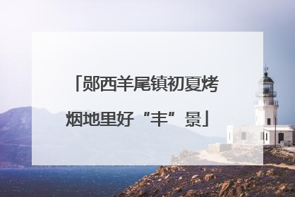 郧西羊尾镇初夏烤烟地里好“丰”景