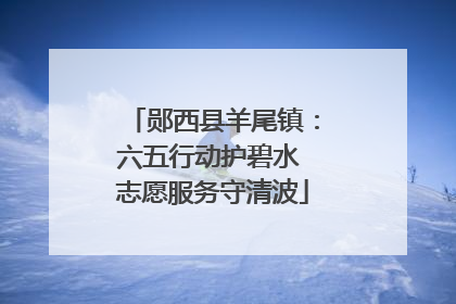 郧西县羊尾镇：六五行动护碧水 志愿服务守清波