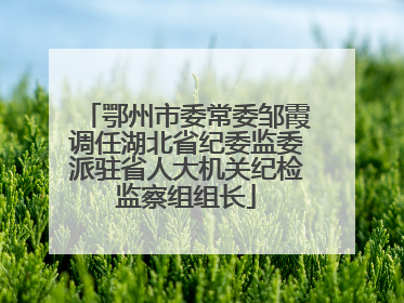 鄂州市委常委邹霞调任湖北省纪委监委派驻省人大机关纪检监察组组长