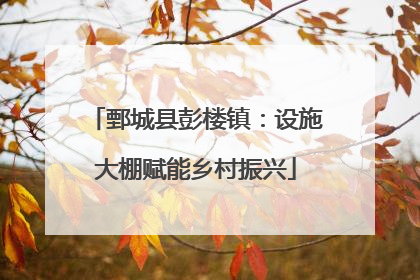 鄄城县彭楼镇：设施大棚赋能乡村振兴
