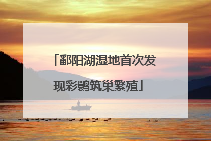 鄱阳湖湿地首次发现彩鹮筑巢繁殖