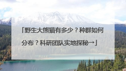 野生大熊猫有多少？种群如何分布？科研团队实地探秘→