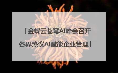 金蝶云苍穹AI峰会召开 各界热议AI赋能企业管理