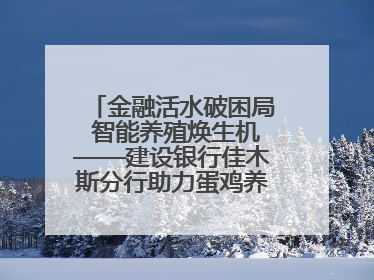 金融活水破困局 智能养殖焕生机——建设银行佳木斯分行助力蛋鸡养殖突围
