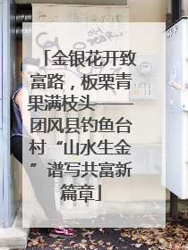 金银花开致富路，板栗青果满枝头——团风县钓鱼台村“山水生金”谱写共富新篇章