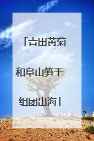 青田黄菊和阜山笋干组团出海