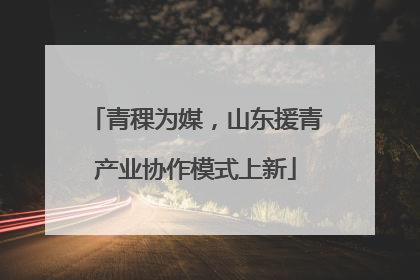 青稞为媒，山东援青产业协作模式上新