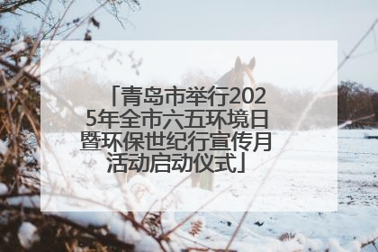 青岛市举行2025年全市六五环境日暨环保世纪行宣传月活动启动仪式