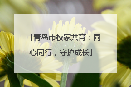 青岛市校家共育：同心同行，守护成长