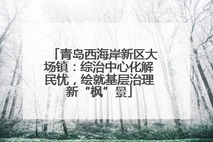 青岛西海岸新区大场镇：综治中心化解民忧，绘就基层治理新“枫”景