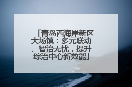 青岛西海岸新区大场镇：多元联动、智治无忧，提升综治中心新效能