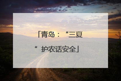 青岛：“三夏”护农话安全