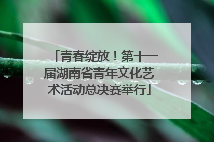 青春绽放！第十一届湖南省青年文化艺术活动总决赛举行