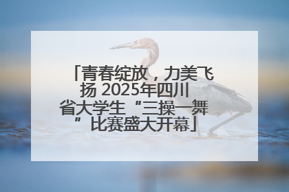 青春绽放，力美飞扬 2025年四川省大学生“三操一舞”比赛盛大开幕
