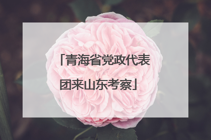 青海省党政代表团来山东考察