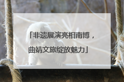 非遗展演亮相南博，曲靖文旅绽放魅力