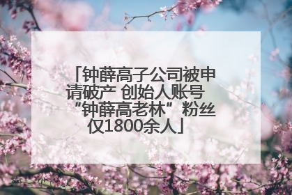 钟薛高子公司被申请破产 创始人账号“钟薛高老林”粉丝仅1800余人