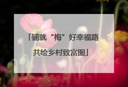 铺就“梅”好幸福路 共绘乡村致富图