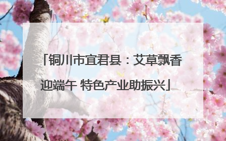 铜川市宜君县：艾草飘香迎端午 特色产业助振兴
