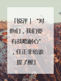 锐评｜“对他们，我们要有战略耐心”，任正非给谁提了醒