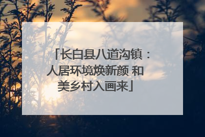 长白县八道沟镇：人居环境焕新颜 和美乡村入画来