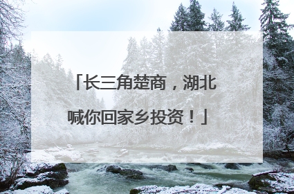长三角楚商，湖北喊你回家乡投资！