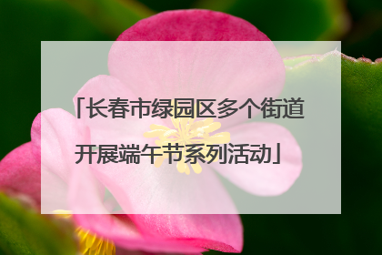 长春市绿园区多个街道开展端午节系列活动