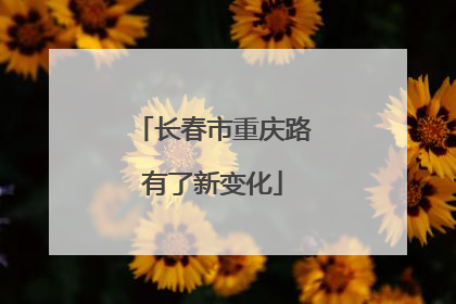 长春市重庆路有了新变化
