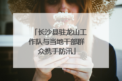 长沙县驻龙山工作队与当地干部群众携手防汛