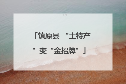 镇原县 “土特产”变“金招牌”