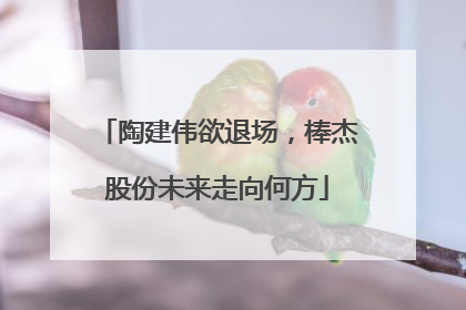 陶建伟欲退场，棒杰股份未来走向何方