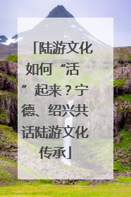 陆游文化如何“活 ”起来？宁德、绍兴共话陆游文化传承