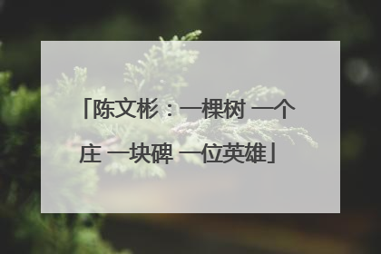 陈文彬：一棵树 一个庄 一块碑 一位英雄